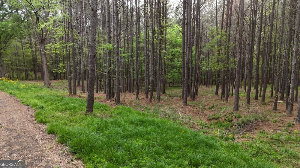 0 Plantation RD Madison, GA 30650
