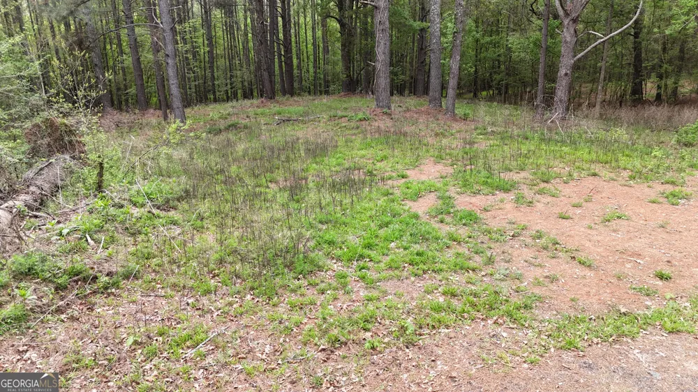 0 Plantation RD Madison, GA 30650
