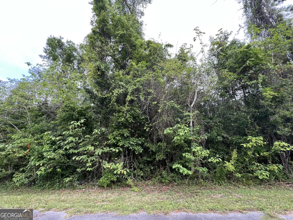 204 W Meeting ST St. Marys, GA 31558