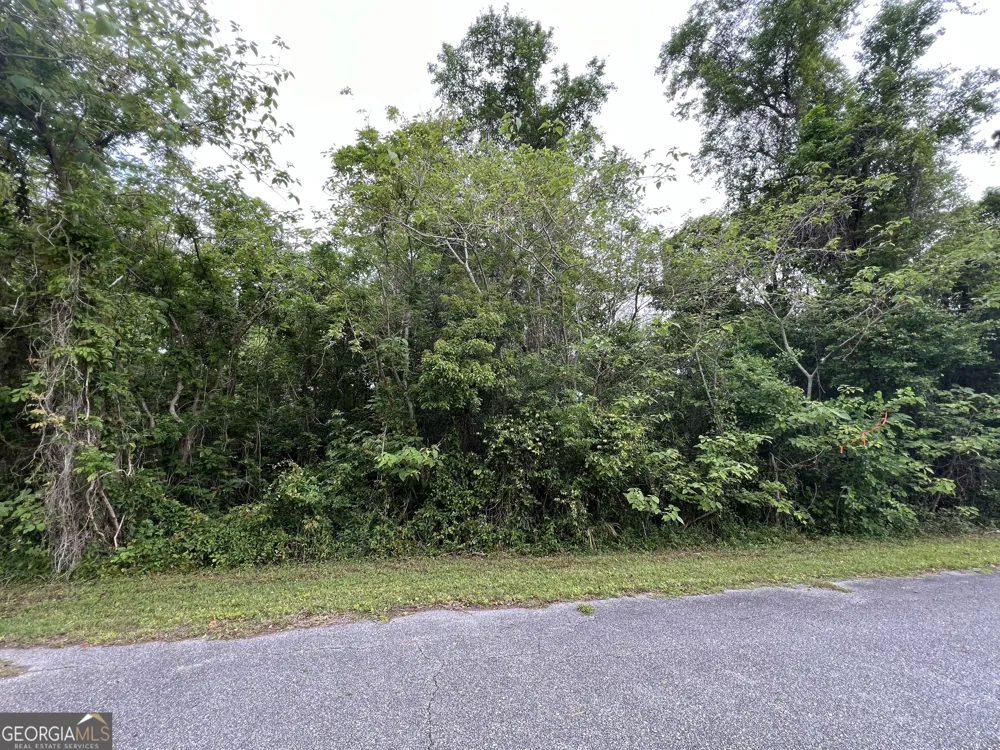 204 W Meeting ST St. Marys, GA 31558