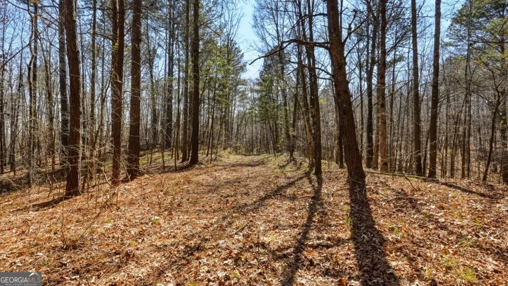 0 Hubbardsville CIR Dawsonville, GA 30534