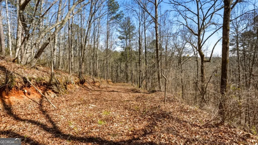 0 Hubbardsville CIR Dawsonville, GA 30534