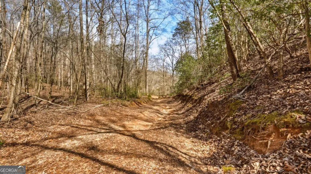 0 Hubbardsville CIR Dawsonville, GA 30534