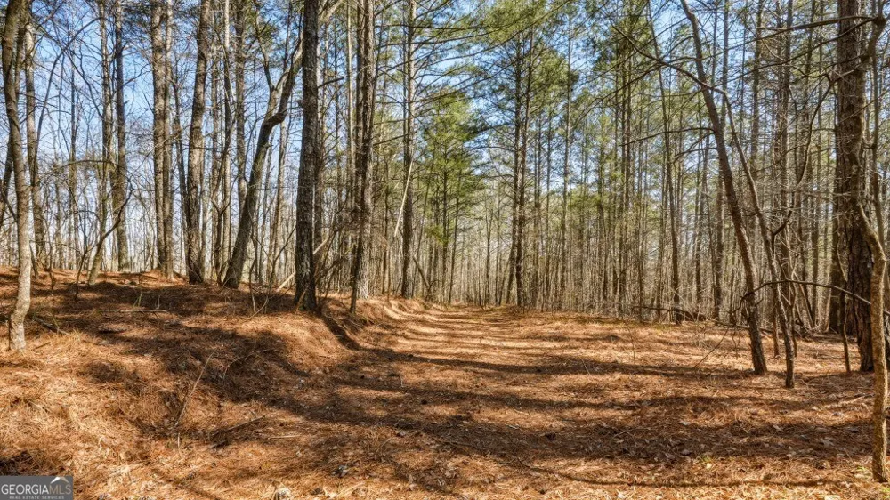 0 Hubbardsville CIR Dawsonville, GA 30534