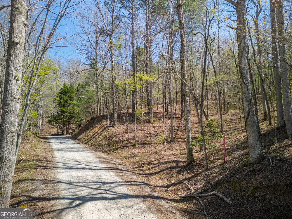 1.02 ACRES Jennifer LN Mineral Bluff, GA 30559