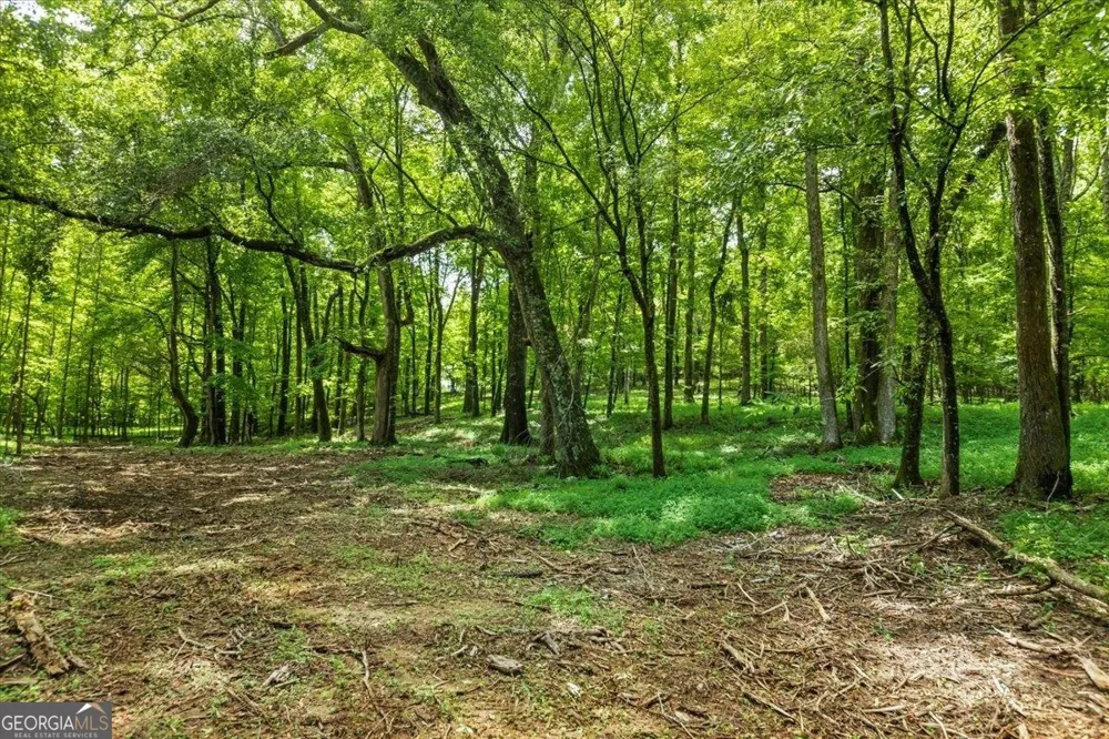 0 Gage LN Madison, GA 30650
