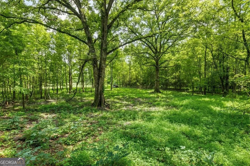 0 Creekview DR Madison, GA 30650