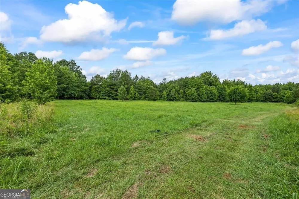 0 Creekview DR Madison, GA 30650