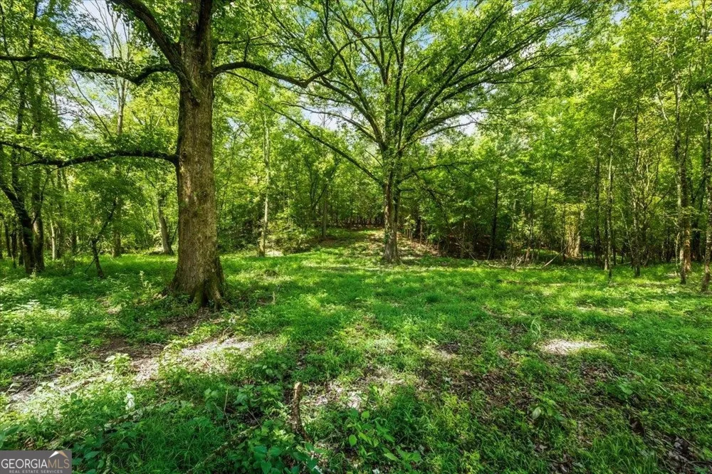 0 Creekview DR Madison, GA 30650