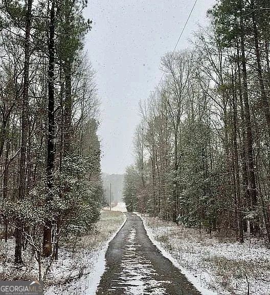 305 Cottonton RD Pittsview, AL 36871