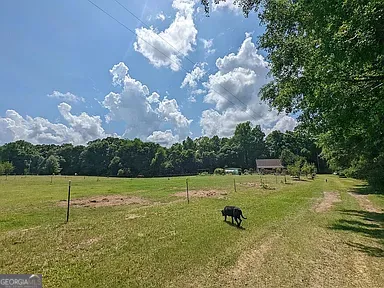305 Cottonton RD Pittsview, AL 36871