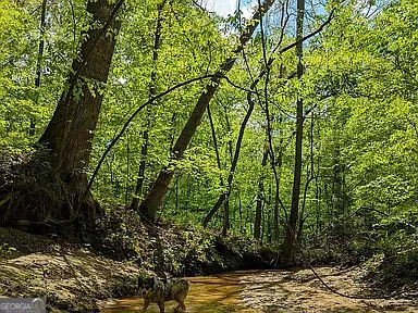 305 Cottonton RD Pittsview, AL 36871
