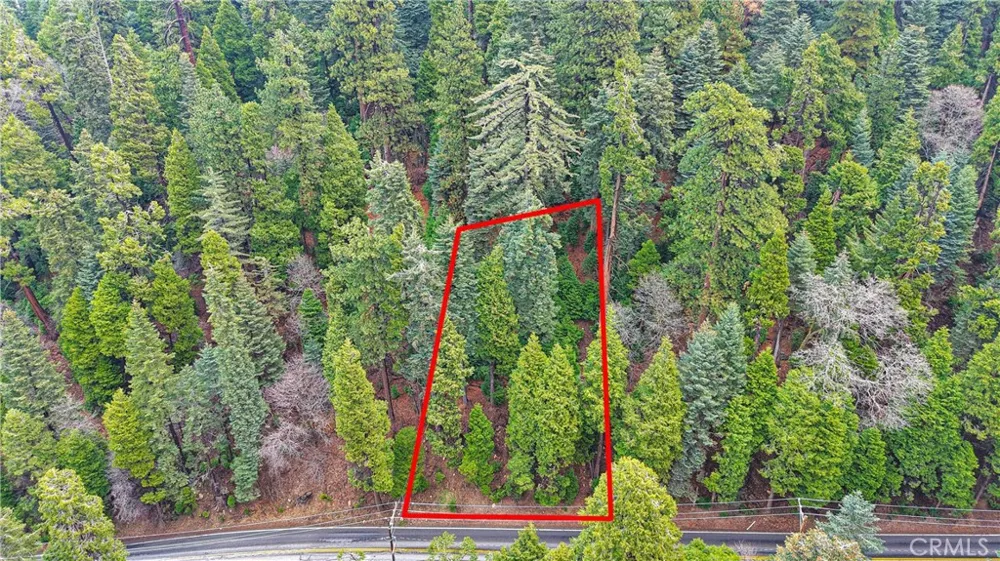 642 Rose Quartz Road Cedar Glen, CA 92321