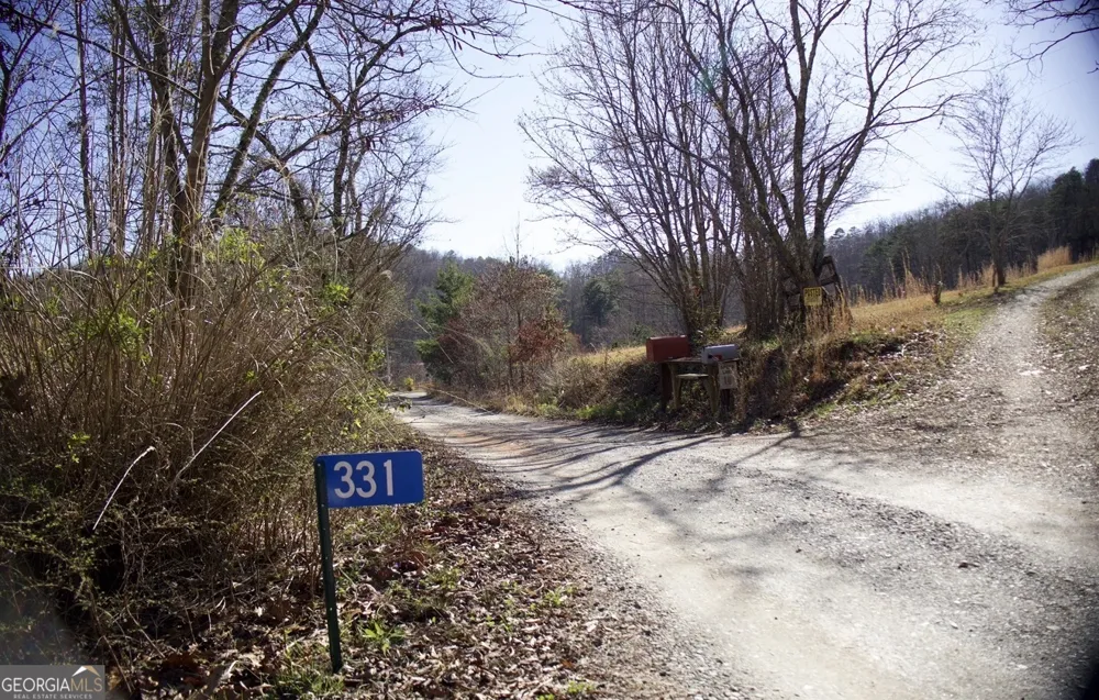 331 Blue Arrow LN Mineral Bluff, GA 30559