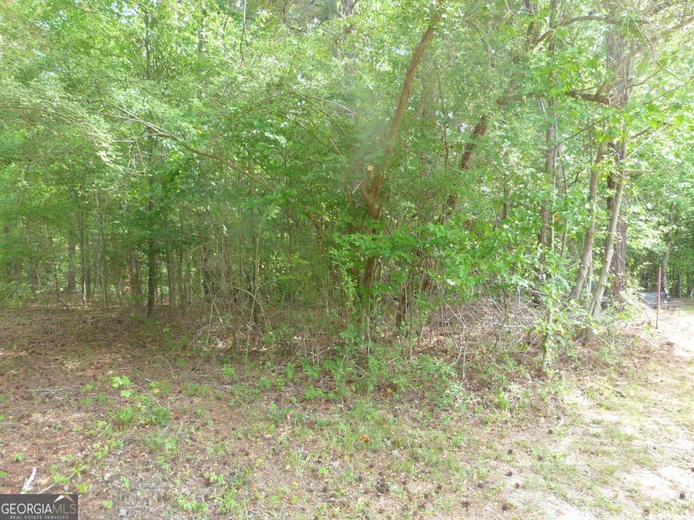 0 Winfield RD Appling, GA 30802
