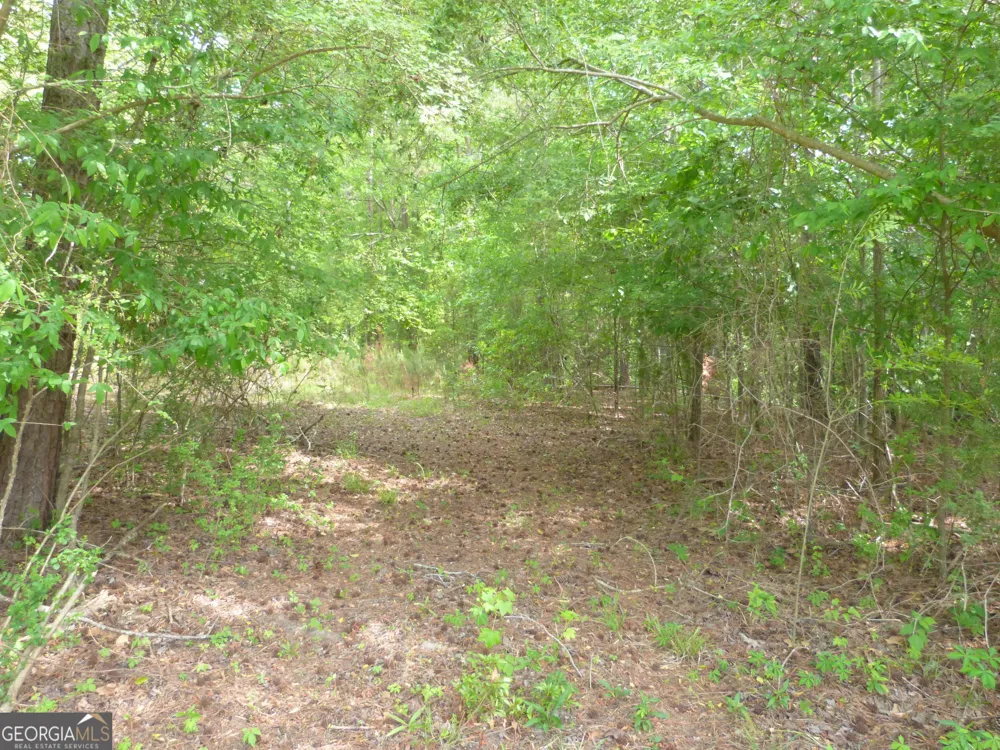 0 Winfield RD Appling, GA 30802