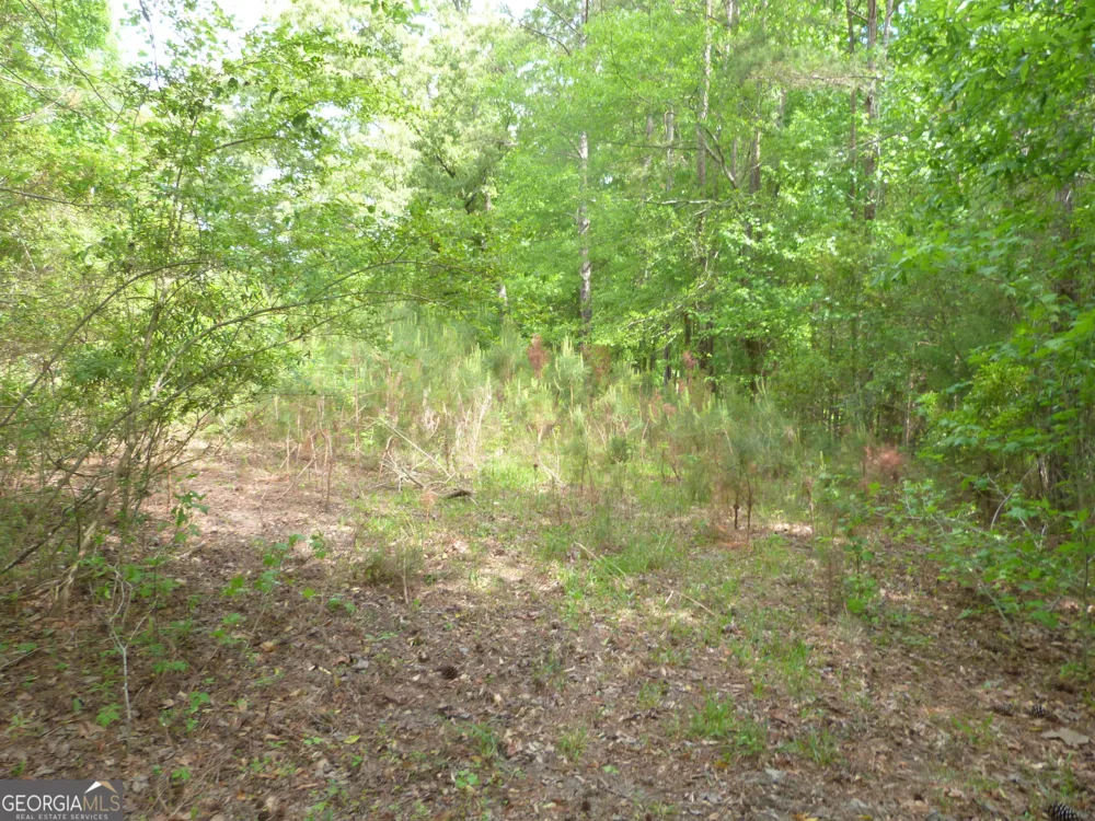 0 Winfield RD Appling, GA 30802