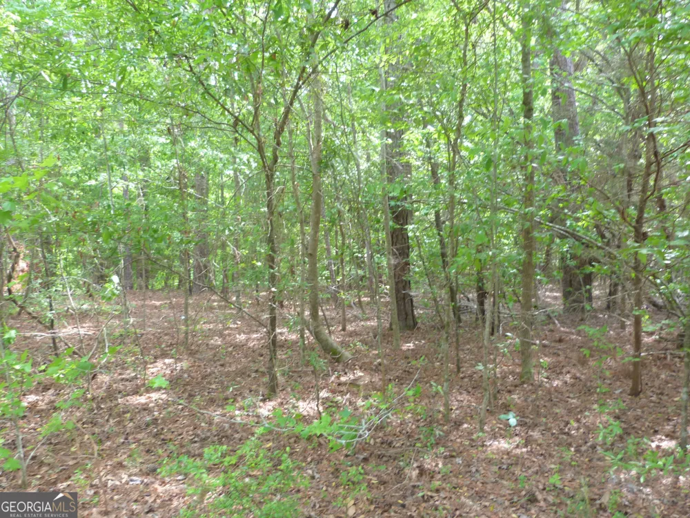 0 Winfield RD Appling, GA 30802