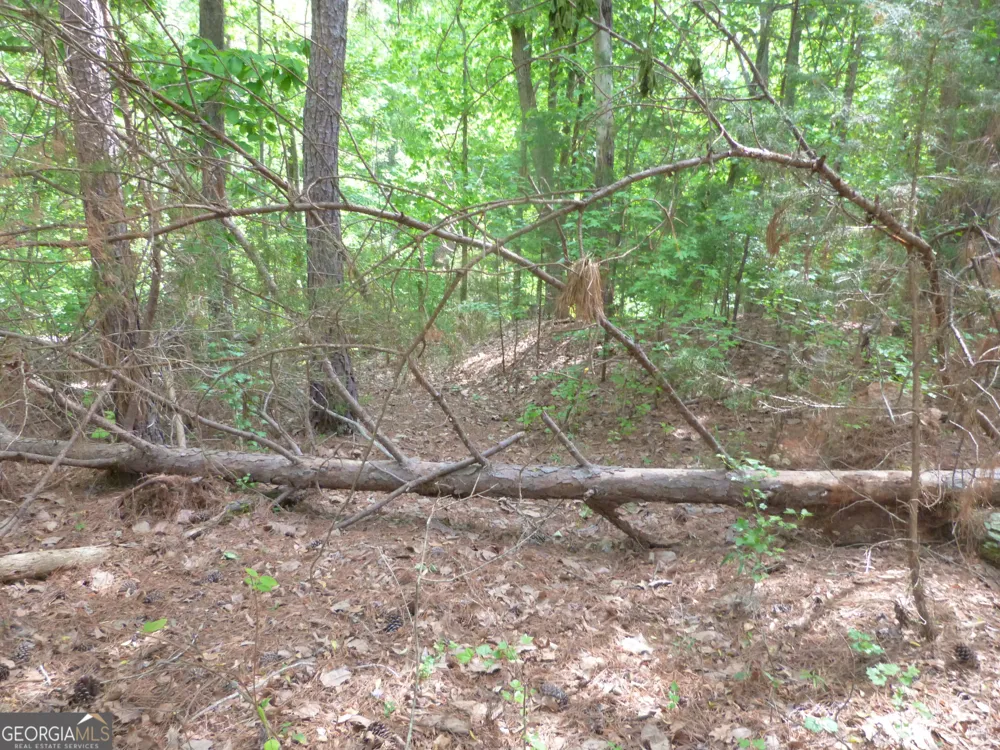 0 Winfield RD Appling, GA 30802