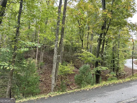 0 Lower Gap RD