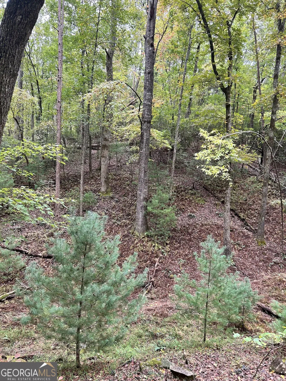 0 Lower Gap RD Sautee Nacoochee, GA 30571
