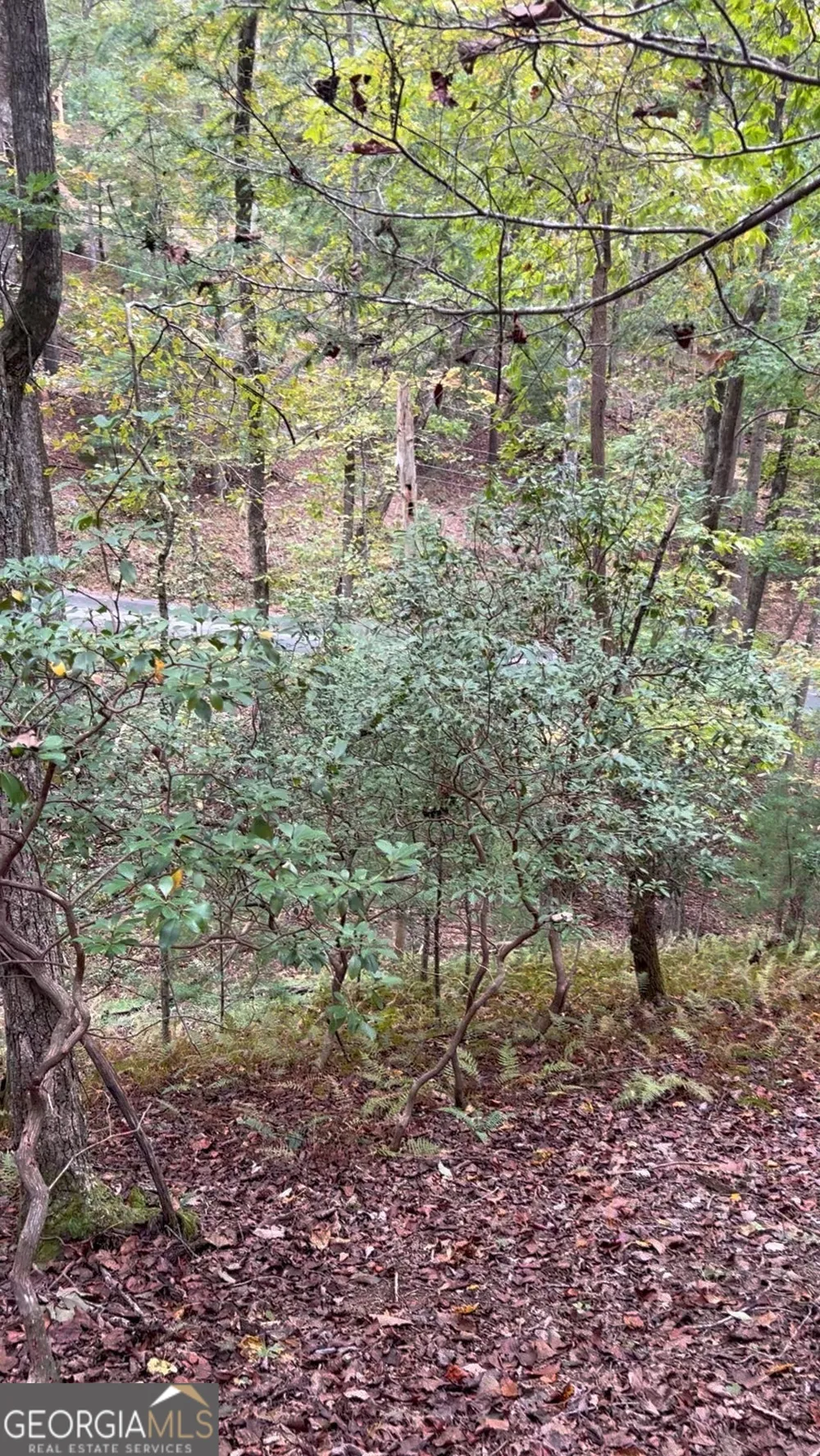 0 Lower Gap RD Sautee Nacoochee, GA 30571