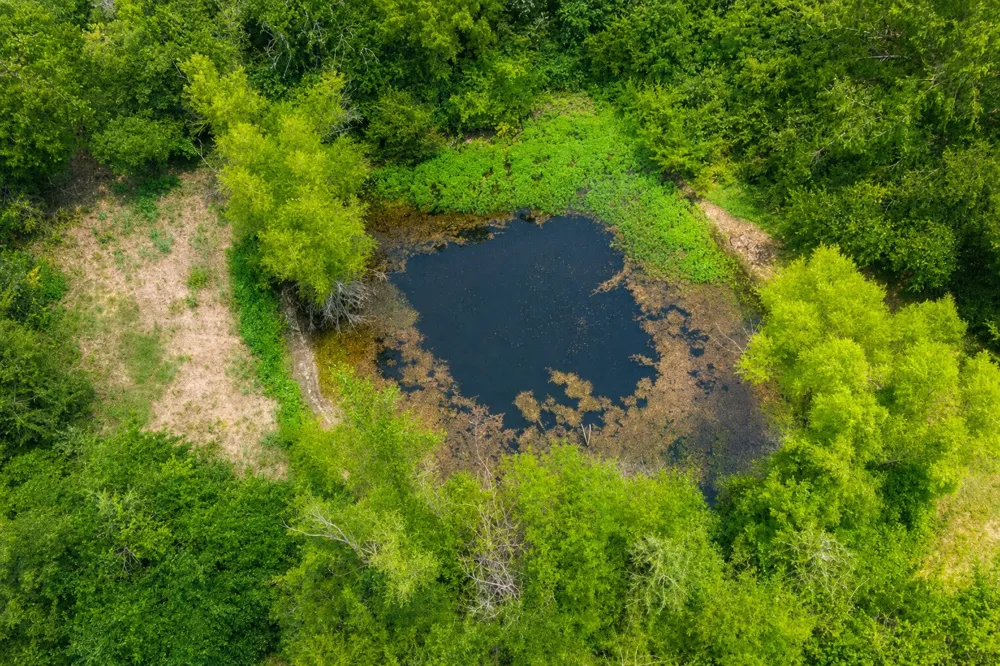 479 County Road 27450 Honey Grove, TX 75477