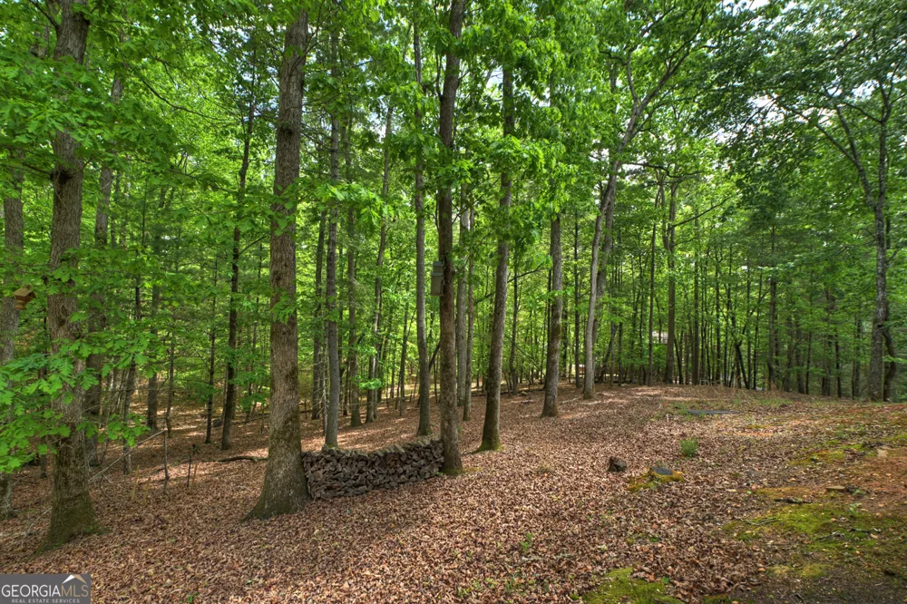 366 Shepherds WAY Morganton, GA 30560