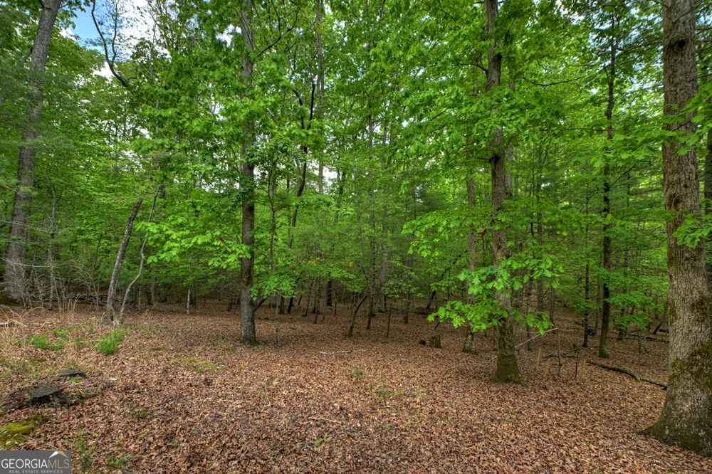 366 Shepherds WAY Morganton, GA 30560