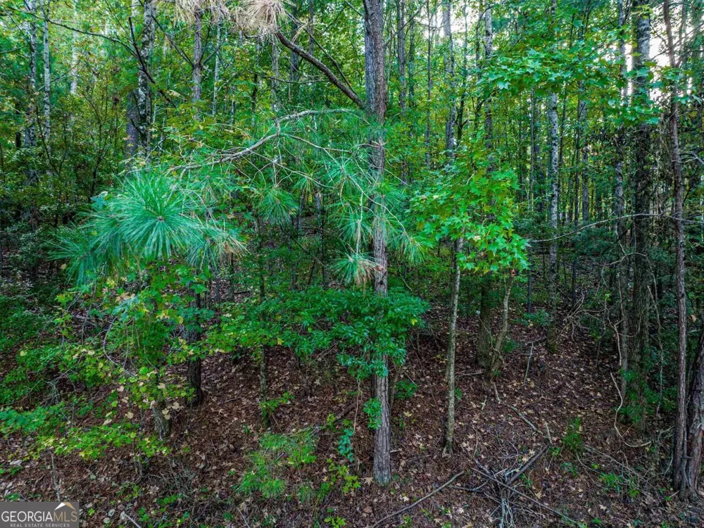 0 Snug Harbor DR Greensboro, GA 30642