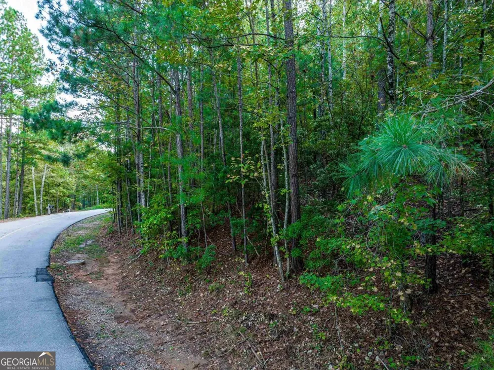 0 Snug Harbor DR Greensboro, GA 30642
