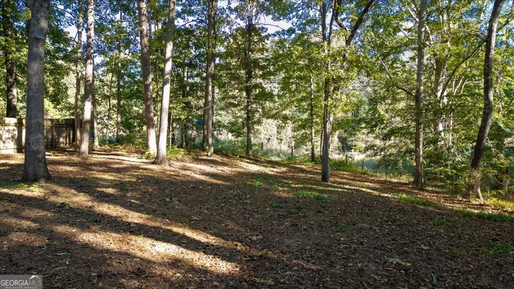 1528 Oakleaf DR Auburn, GA 30011