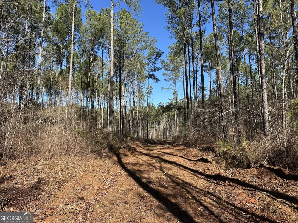 0 Farmington RD Watkinsville, GA 30677