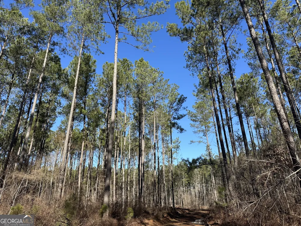 0 Farmington RD Watkinsville, GA 30677