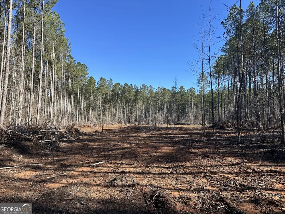 0 Farmington RD Watkinsville, GA 30677