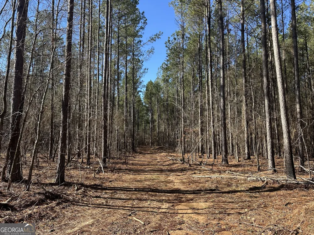 0 Farmington RD Watkinsville, GA 30677