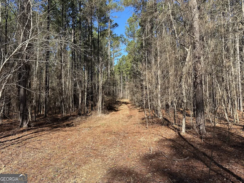 0 Farmington RD Watkinsville, GA 30677