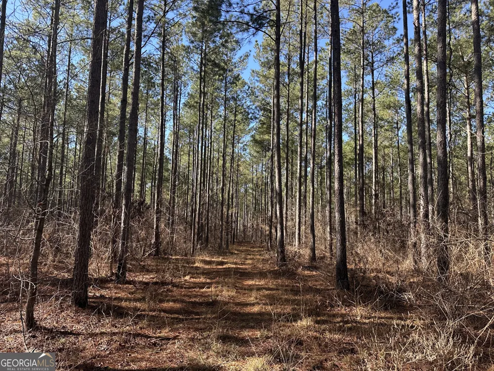 0 Farmington RD Watkinsville, GA 30677