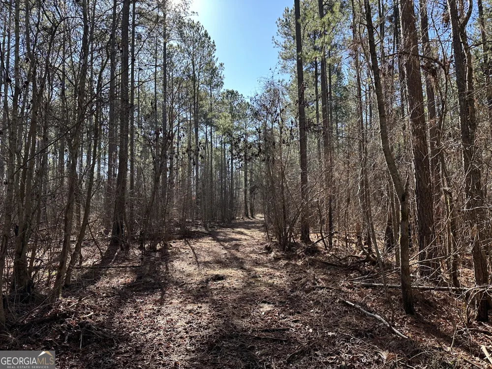 0 Farmington RD Watkinsville, GA 30677