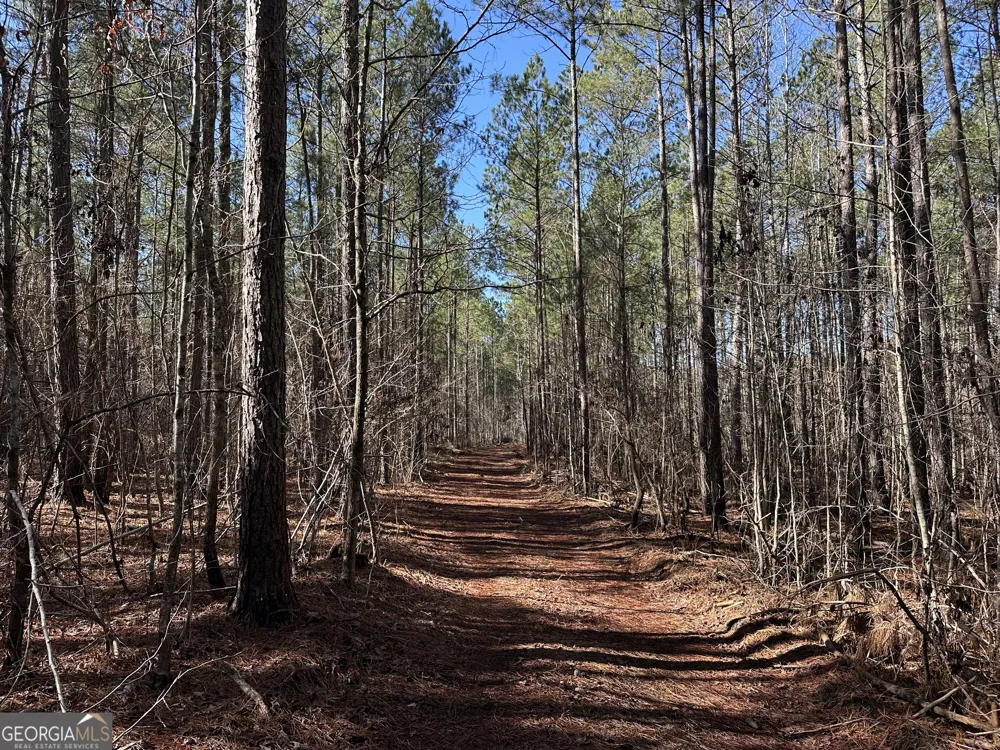0 Farmington RD Watkinsville, GA 30677