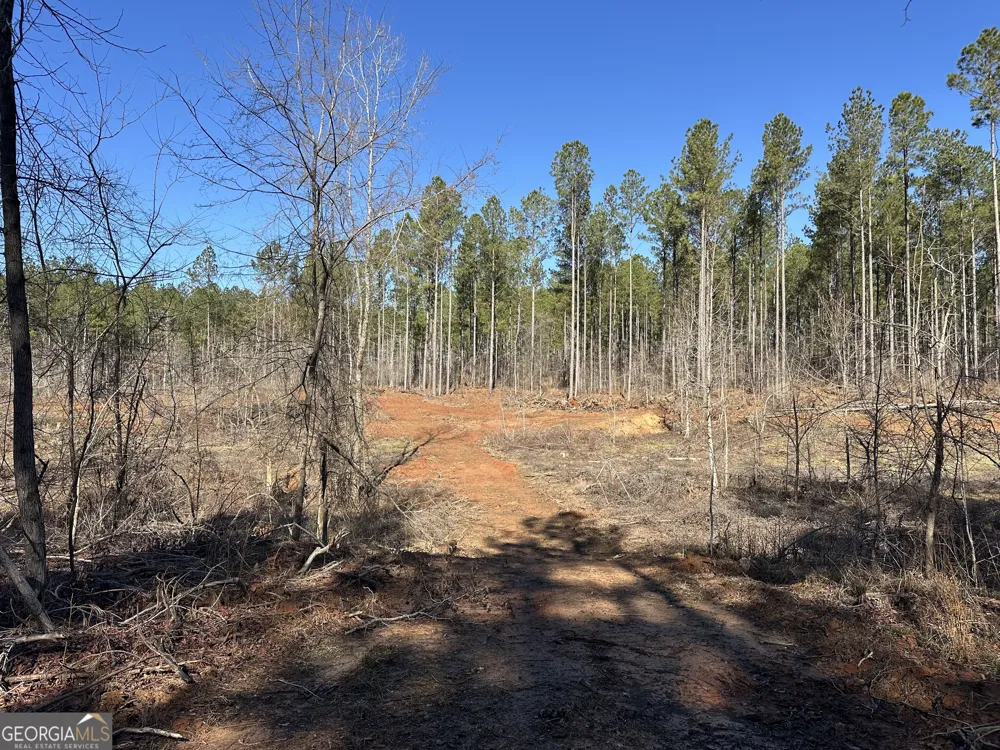 0 Farmington RD Watkinsville, GA 30677