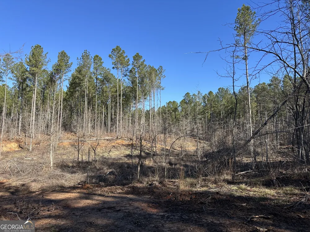 0 Farmington RD Watkinsville, GA 30677