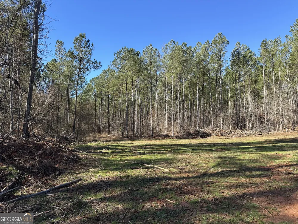 0 Farmington RD Watkinsville, GA 30677