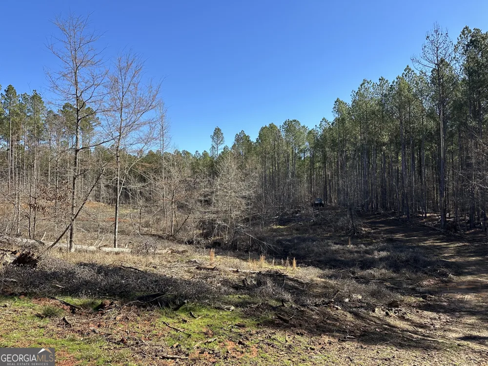 0 Farmington RD Watkinsville, GA 30677