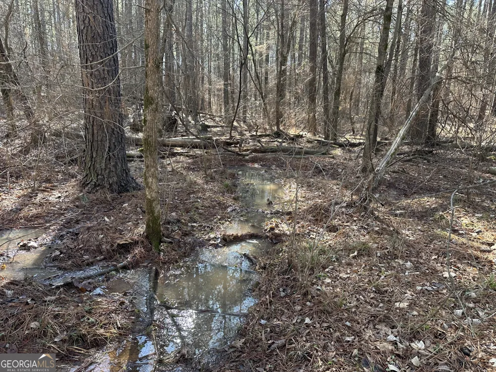 0 Farmington RD Watkinsville, GA 30677