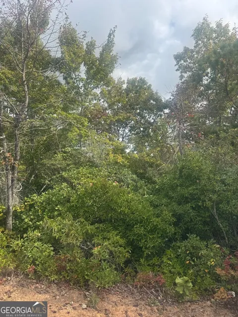 LOT 16 Brown Hawk DR