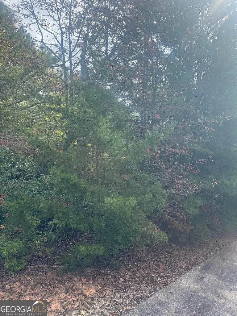LOT 16 Brown Hawk DR Clayton, GA 30525