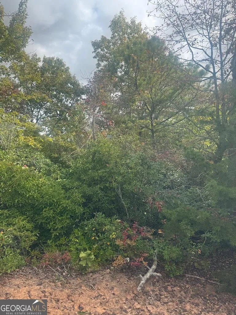 LOT 16 Brown Hawk DR Clayton, GA 30525
