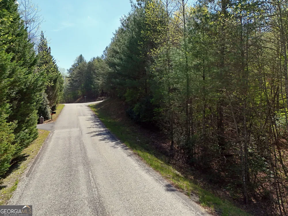 LOT 40 Ivy Meadow LN Blairsville, GA 30512