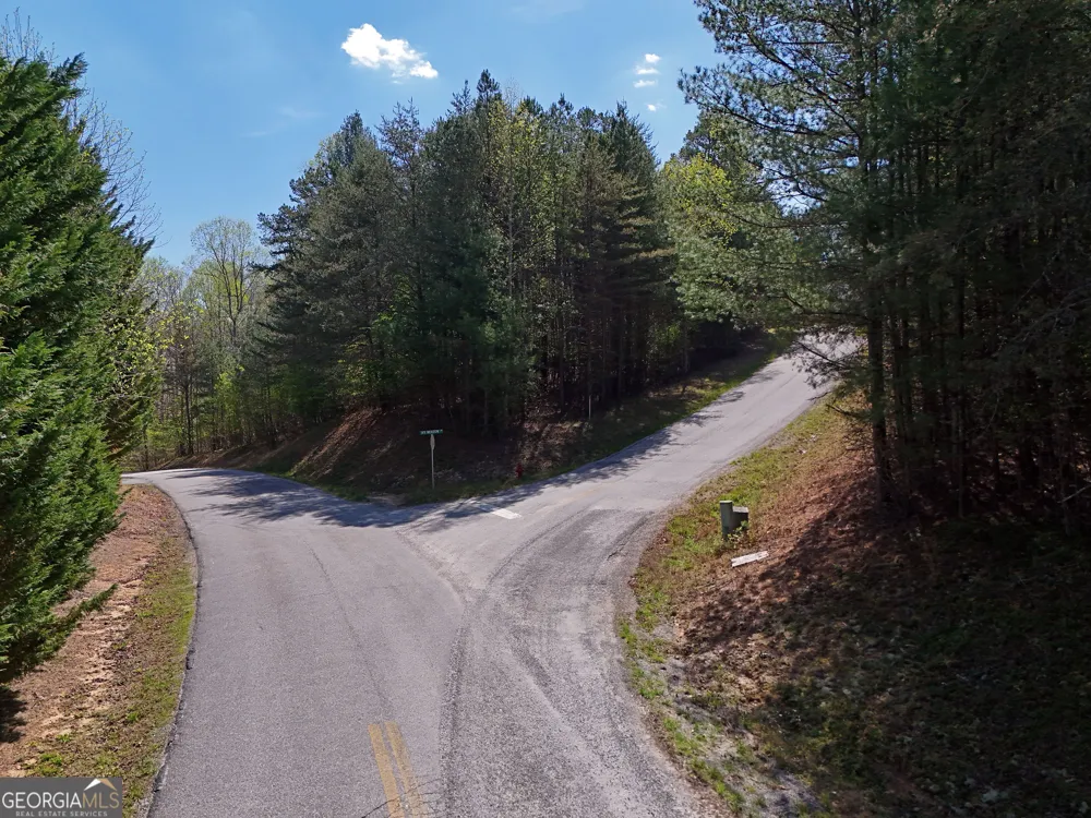 LOT 40 Ivy Meadow LN Blairsville, GA 30512